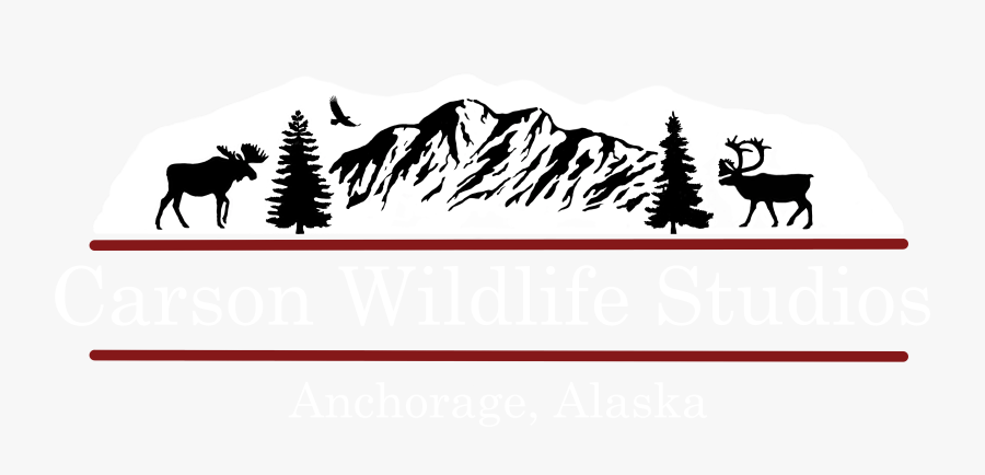 Carson Wildlife Studios - Silhouette, Transparent Clipart