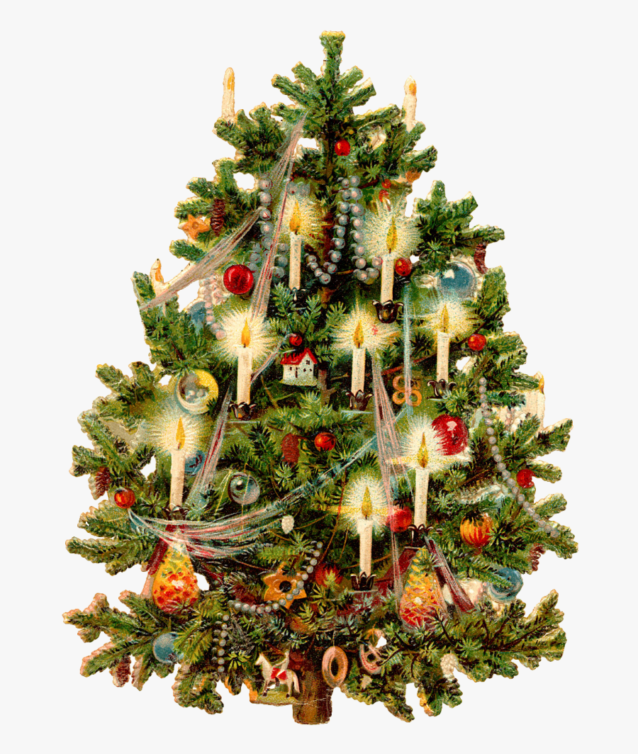 Victorian Tree Printable 2 - Vintage Christmas Tree Clipart, Transparent Clipart