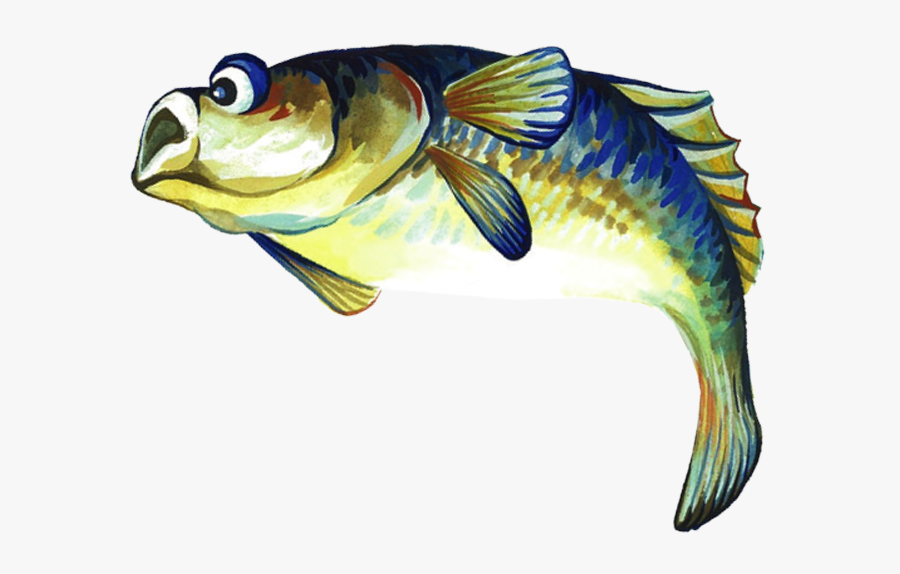 Report Card Image - Bony-fish, Transparent Clipart