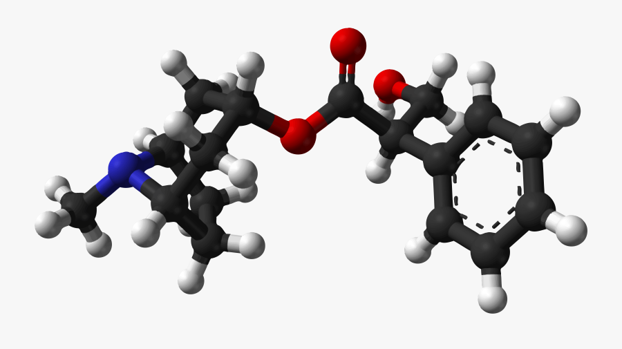 Crowd Clipart Public Domain - Atropine Molecule, Transparent Clipart