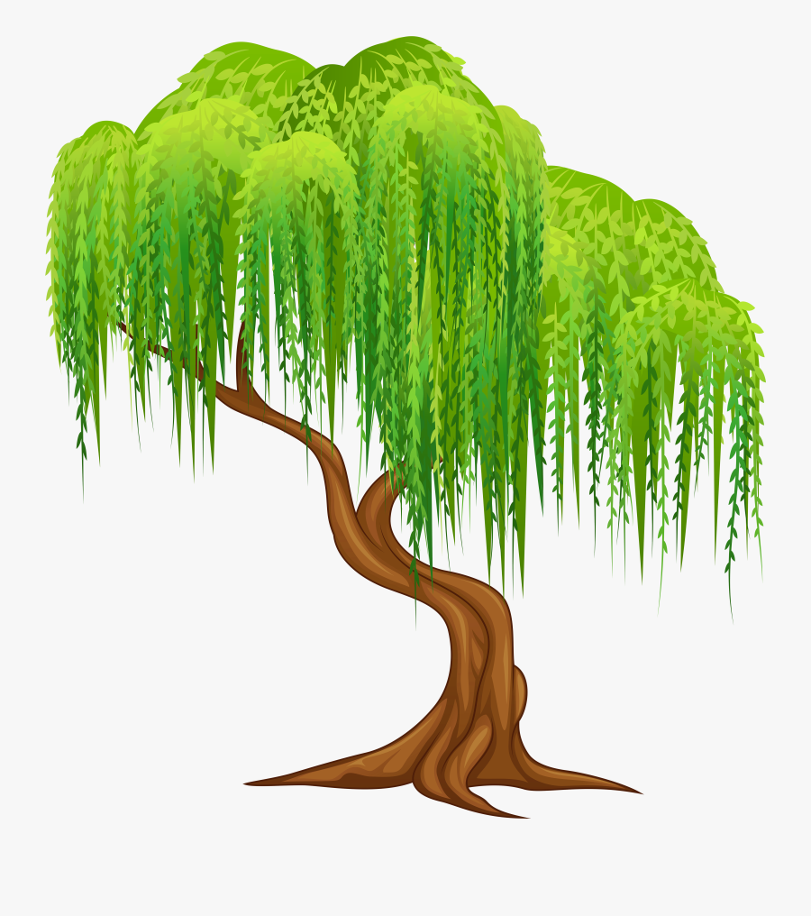 Willow Tree Clip Art - Weeping Willow Tree Clipart, Transparent Clipart