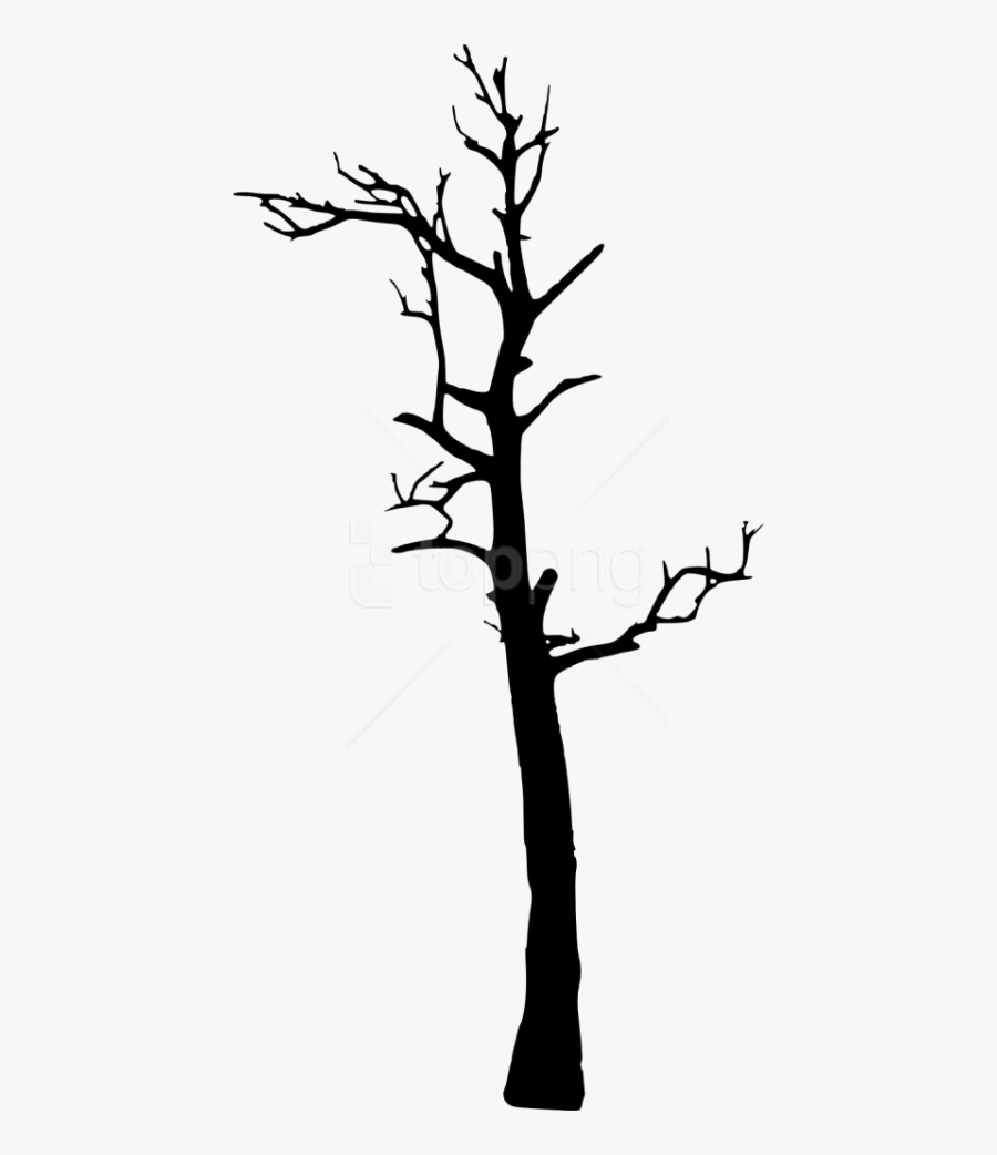Free Images Toppng - Silhouette Of Dry Trees, Transparent Clipart
