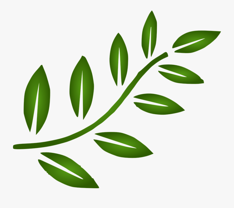 Green Leaf Design Png - Olive Branch Clip Art Black And White, Transparent Clipart