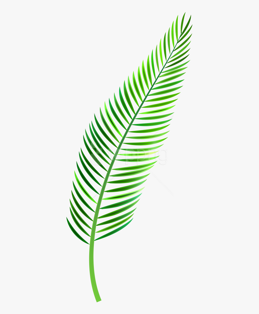 Coconut Leaves Png - Palm Leaf Clipart Png, Transparent Clipart