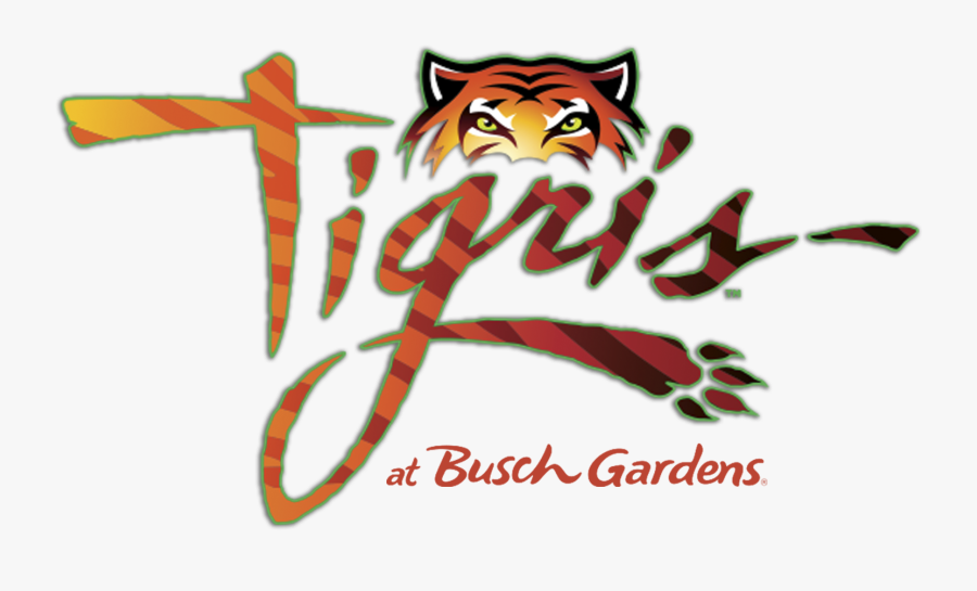 Tiger Roller Coaster Busch Gardens, Transparent Clipart