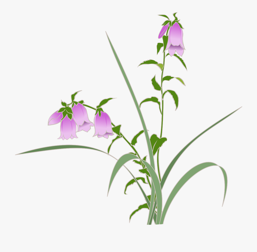 Firefly Projects Wild Grass Purple Flowers Free Picture - 紫 の 花 ホタルブクロ, Transparent Clipart