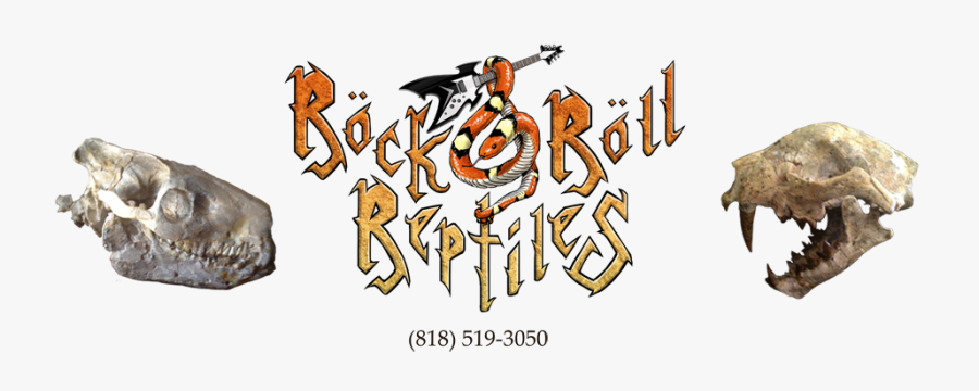 Rock N Roll Reptiles - Cartoon, Transparent Clipart