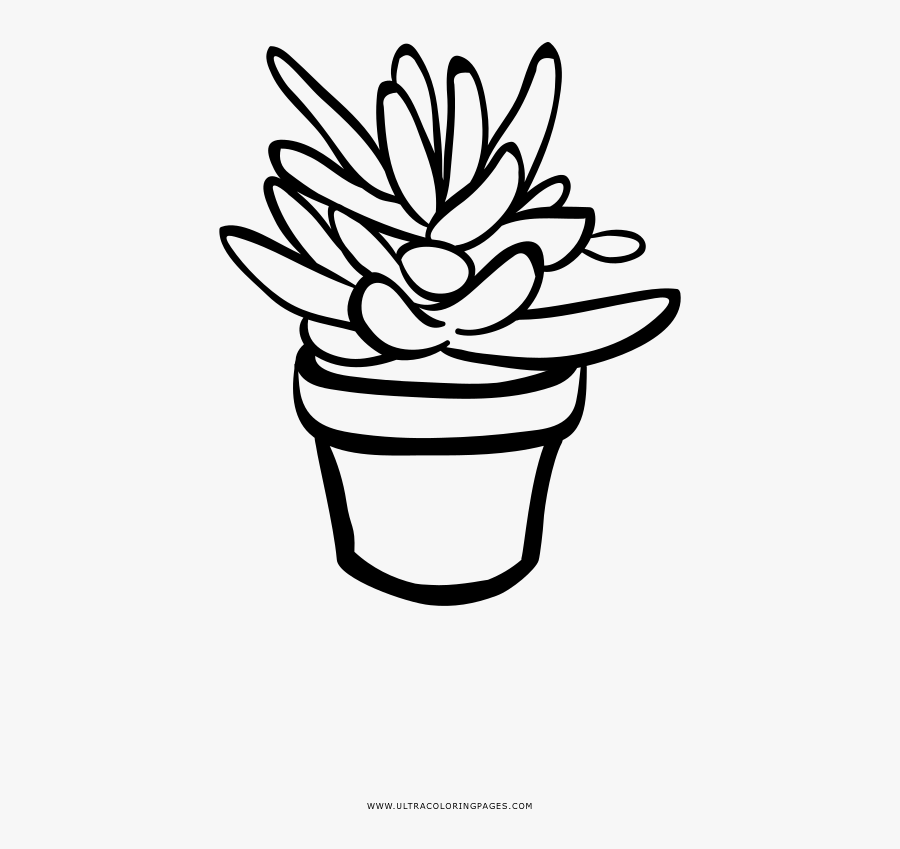 Succulent Coloring Page - Succulent Clipart Black And White, Transparent Clipart