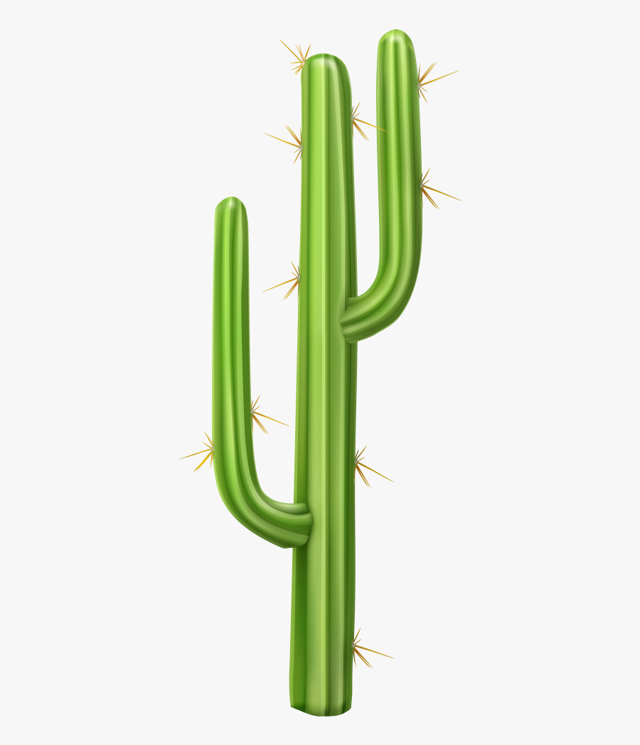 Transparent Background Cactus Clipart Png, Transparent Clipart