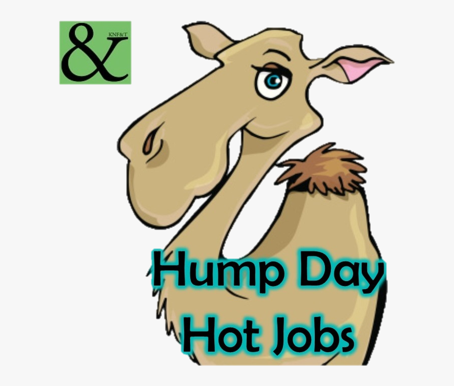 Hump Day Hot Jobs, Transparent Clipart