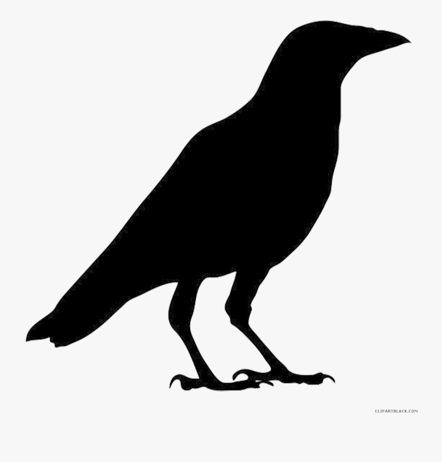 Crow Clipart Silhouette - Crow Black And White, Transparent Clipart