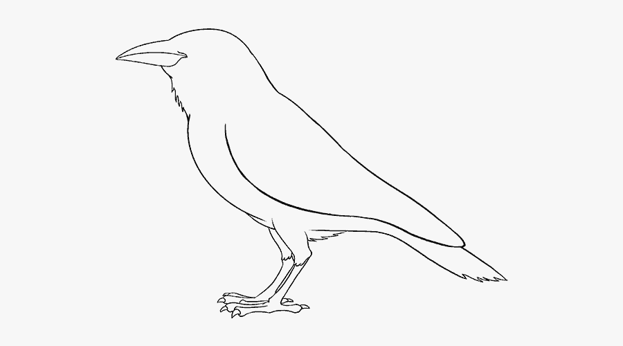 How To Draw A Raven, Transparent Clipart
