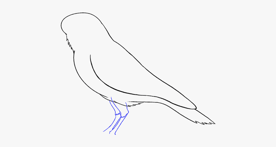 How To Draw Raven - Sketch, Transparent Clipart