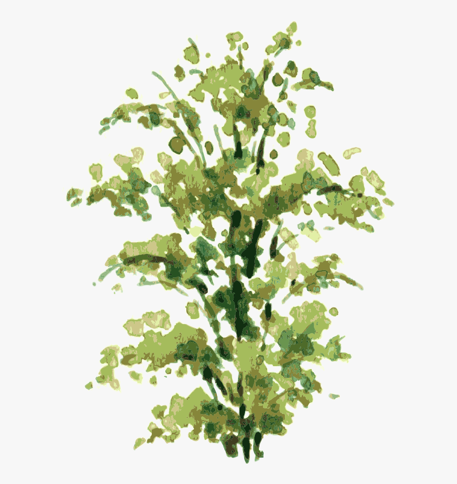 Transparent Bush Plant Png - Plants Watercolor Tree Elevation Png, Transparent Clipart