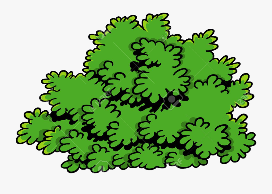 Transparent Shrub Clipart - Shrubs Clipart, Transparent Clipart