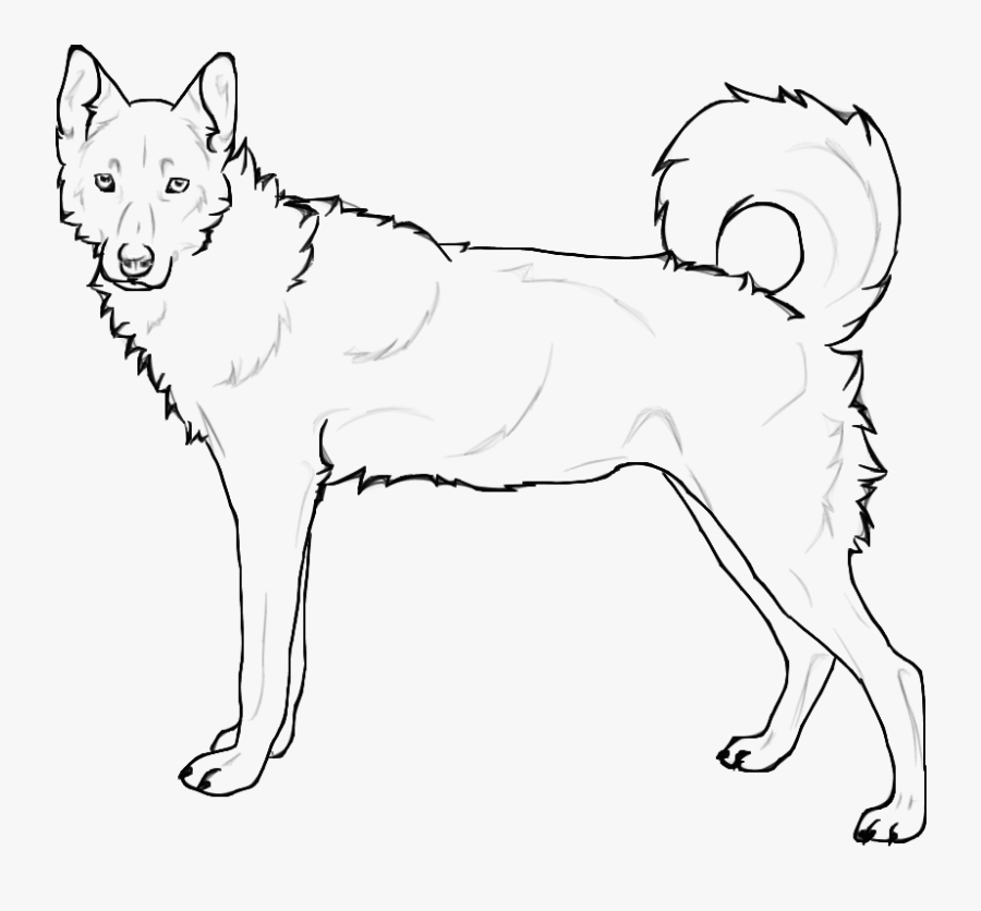 Siberian Husky Coloring Page, Transparent Clipart