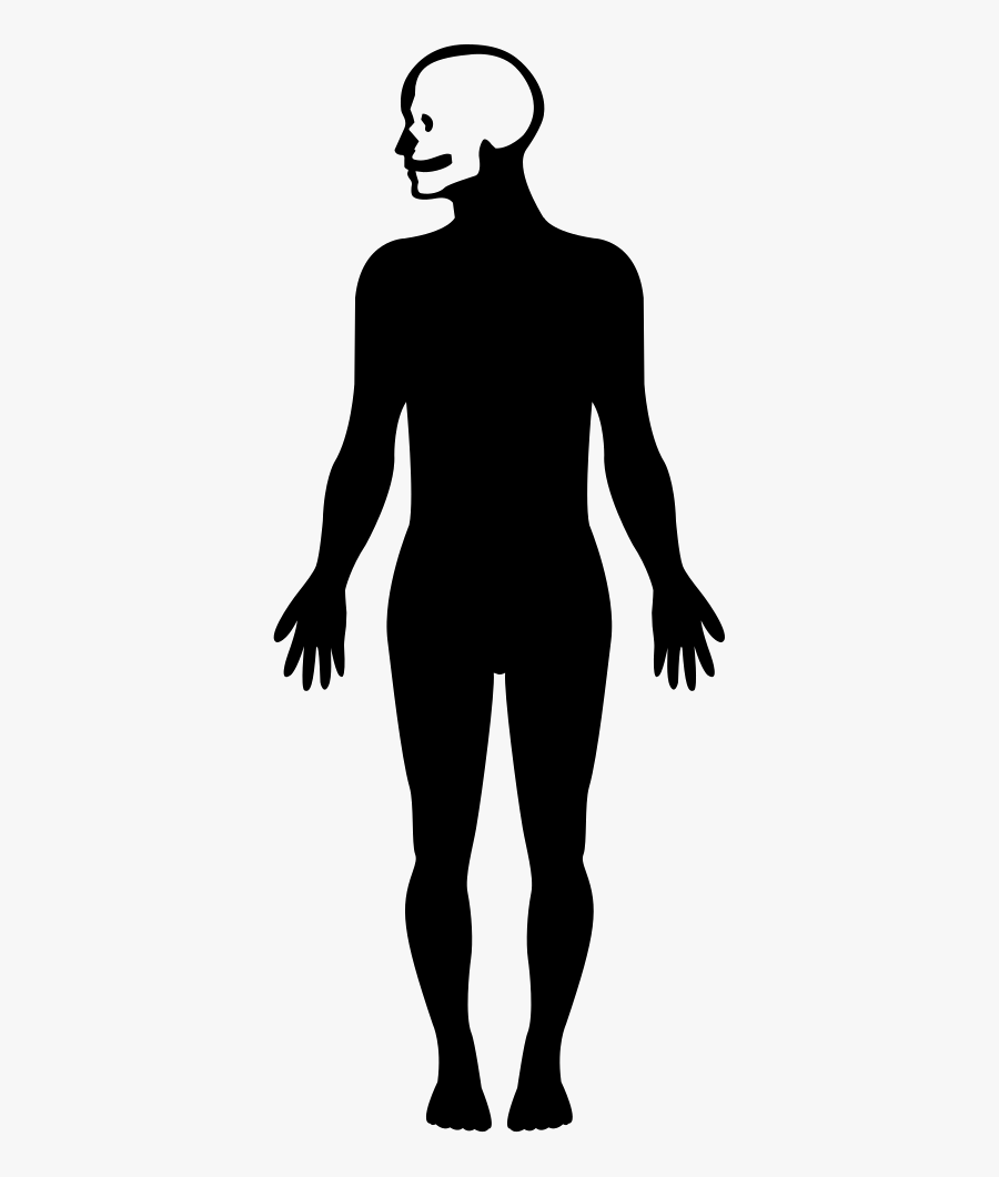 Human Body Silhouette With Focus On The Head - Imagenes De El Cuerpo Humano La Silueta, Transparent Clipart