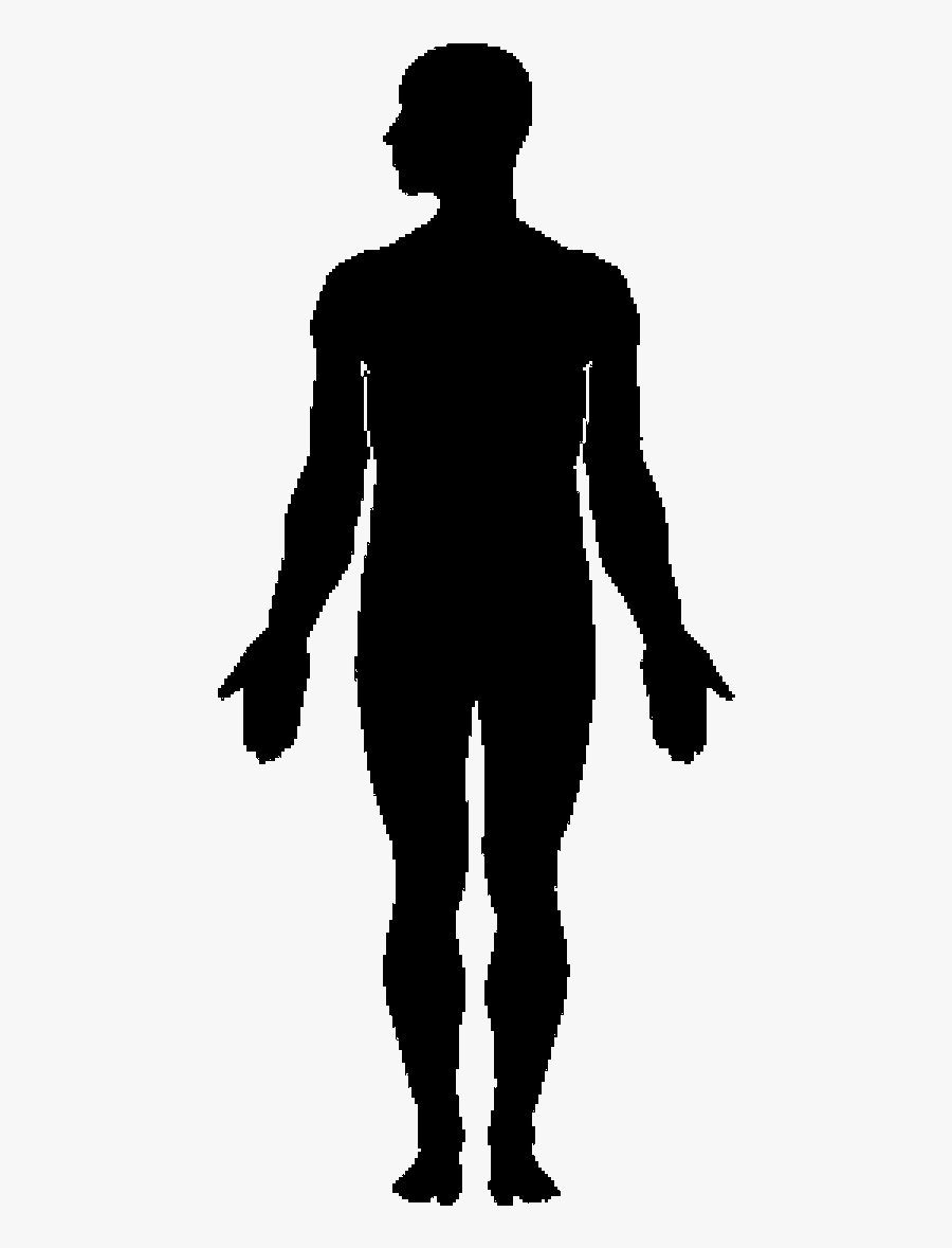 Human Body Silhouette Clip Art - Human Body Silhouette Png, Transparent Clipart