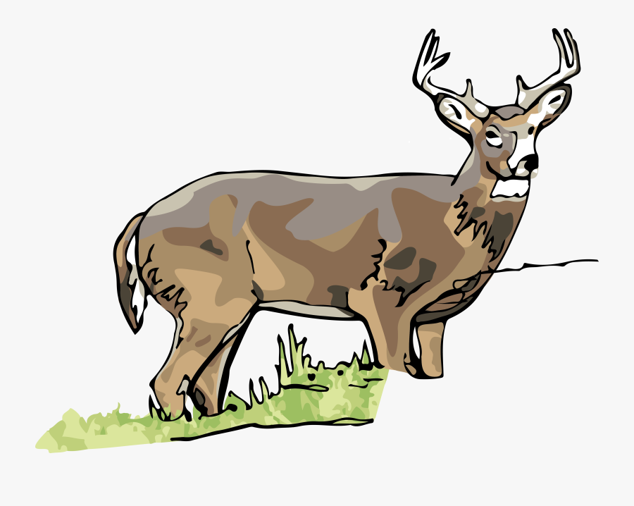 Elk - Reindeer, Transparent Clipart
