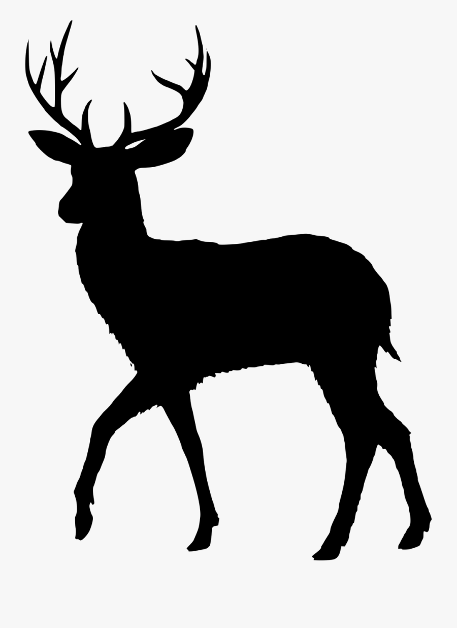 Deer Vector Png, Transparent Clipart