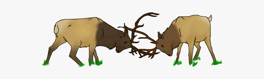 Two Elk Fighting Cartoon, Transparent Clipart