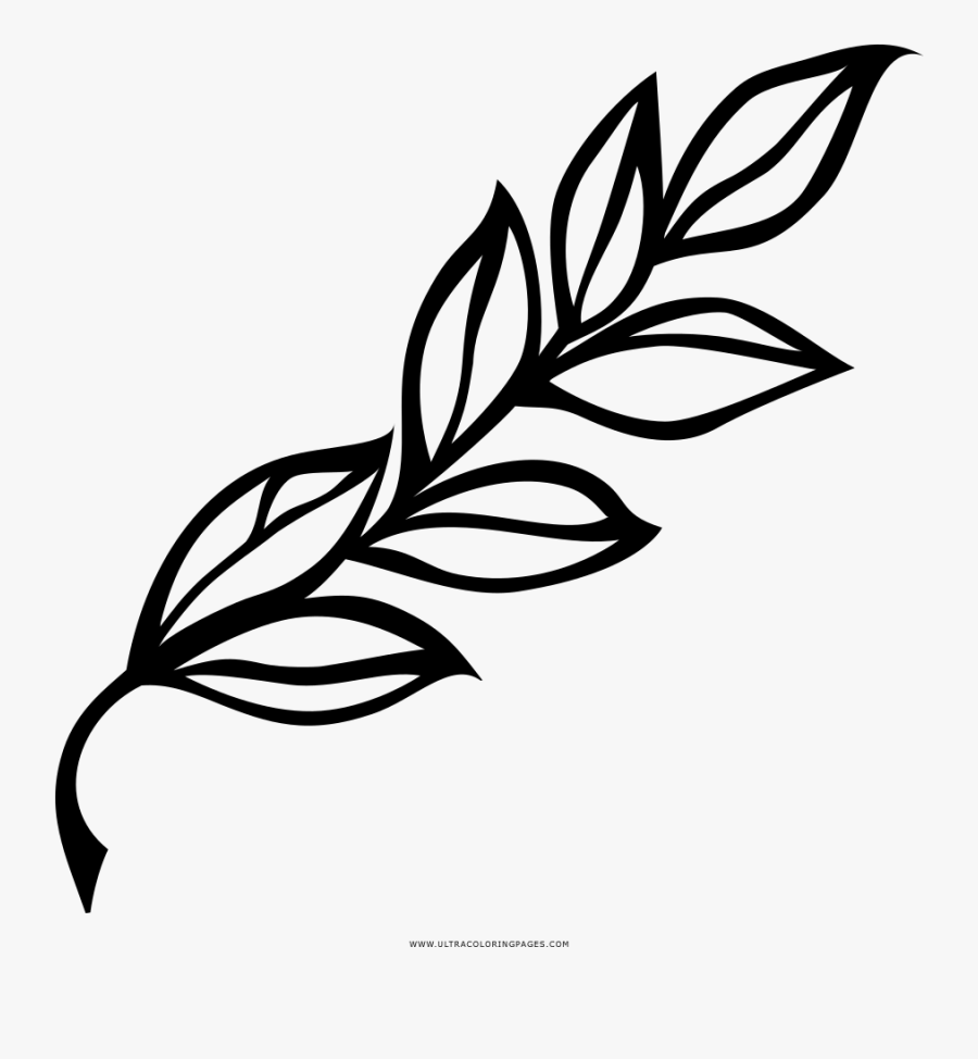 Laurel Branch Coloring Page - Laurel Leaf Black And White, Transparent Clipart