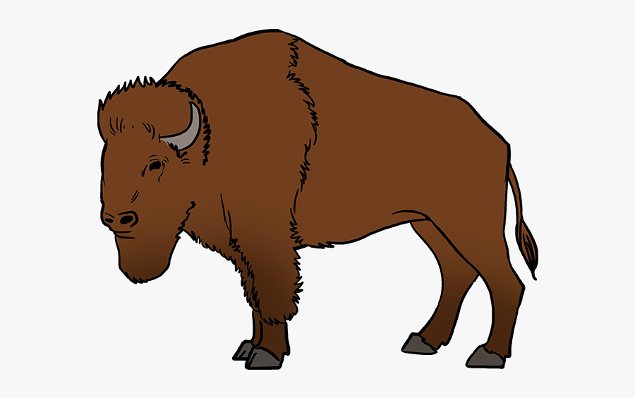 How To Draw Buffalo - Easy How To Draw A Buffalo, Transparent Clipart