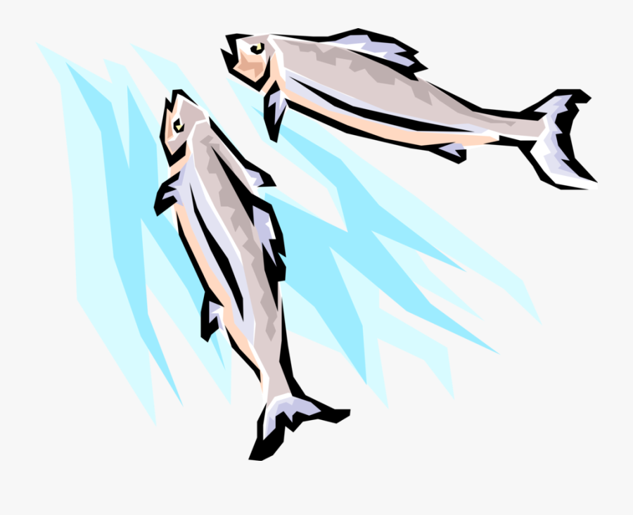 Transparent Salmon Clipart - Fish Swimming Illustration Png, Transparent Clipart