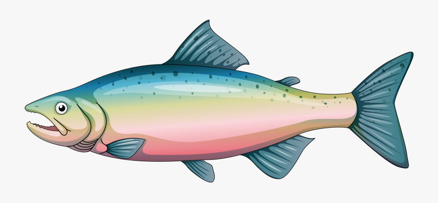 Collection Of Free Salmon Drawing Underwater Download - Rainbow Trout Clipart, Transparent Clipart