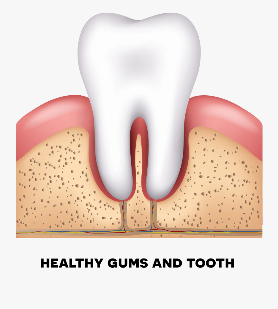 Health, Transparent Clipart