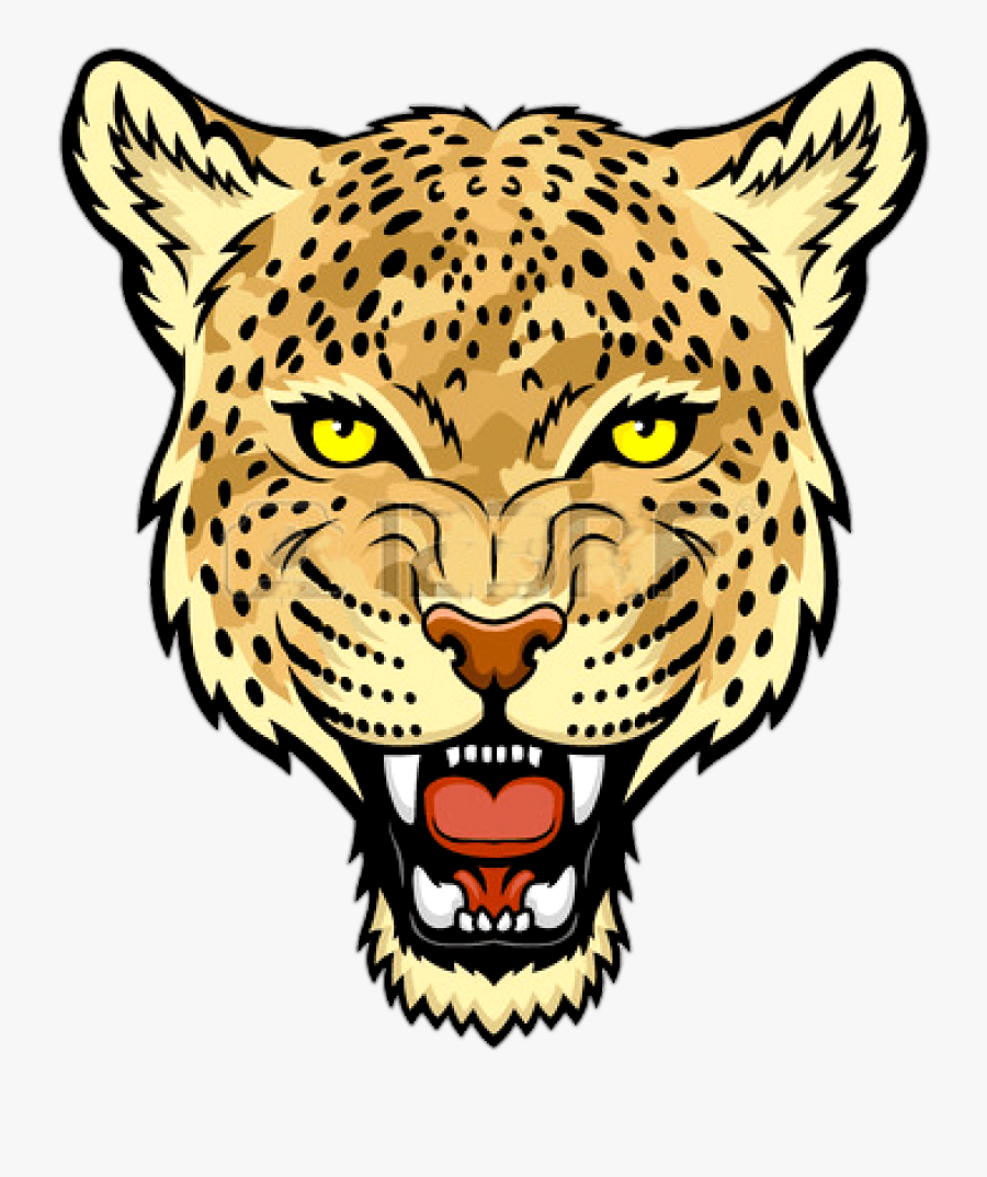 Amur Leopard Face Drawing Clipart , Png Download - Jaguar Png, Transparent Clipart