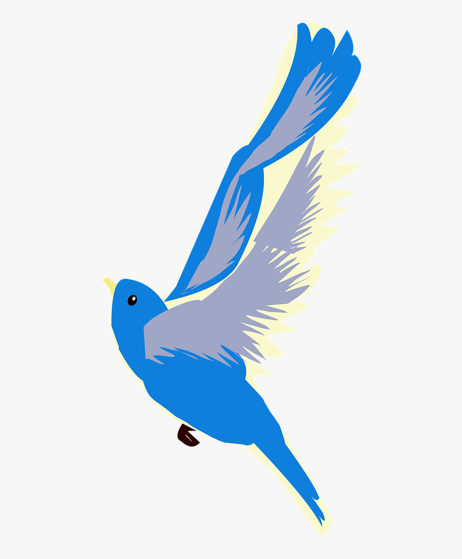 Transparent Blue Birds Png - Mountain Bluebird, Transparent Clipart