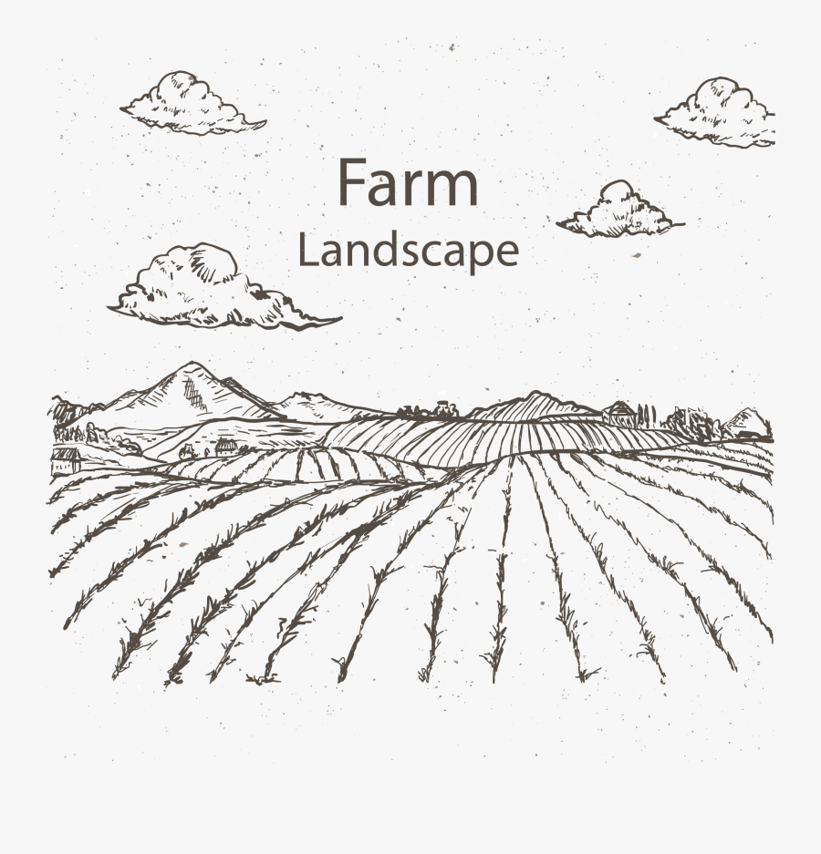 Clip Art Agriculture Sketch Development Field - Field Sketch Png, Transparent Clipart