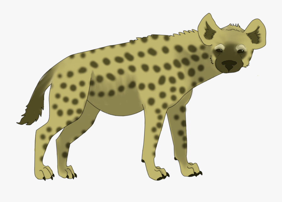 Hyena Png Clipart - Spotted Hyena, Transparent Clipart
