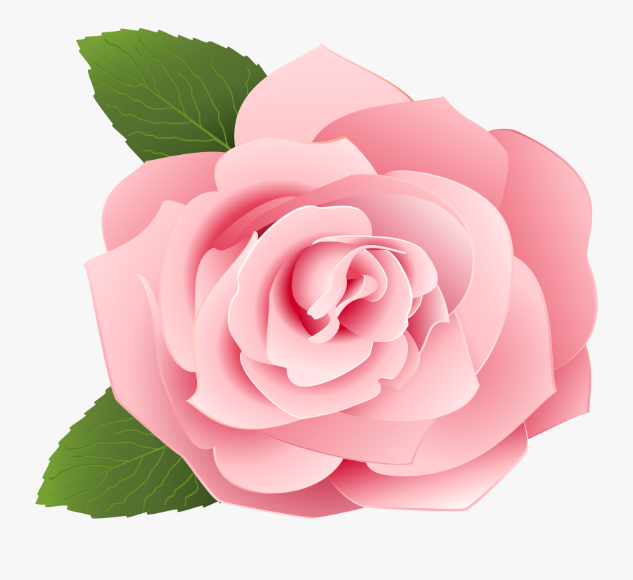 Rose Pink Flower Cartoon, Transparent Clipart