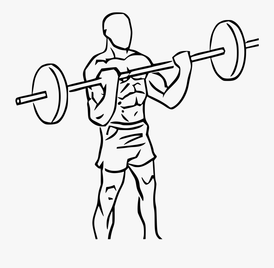 Transparent Bicep Curl Clipart - Drawing Of Bicep Curl, Transparent Clipart