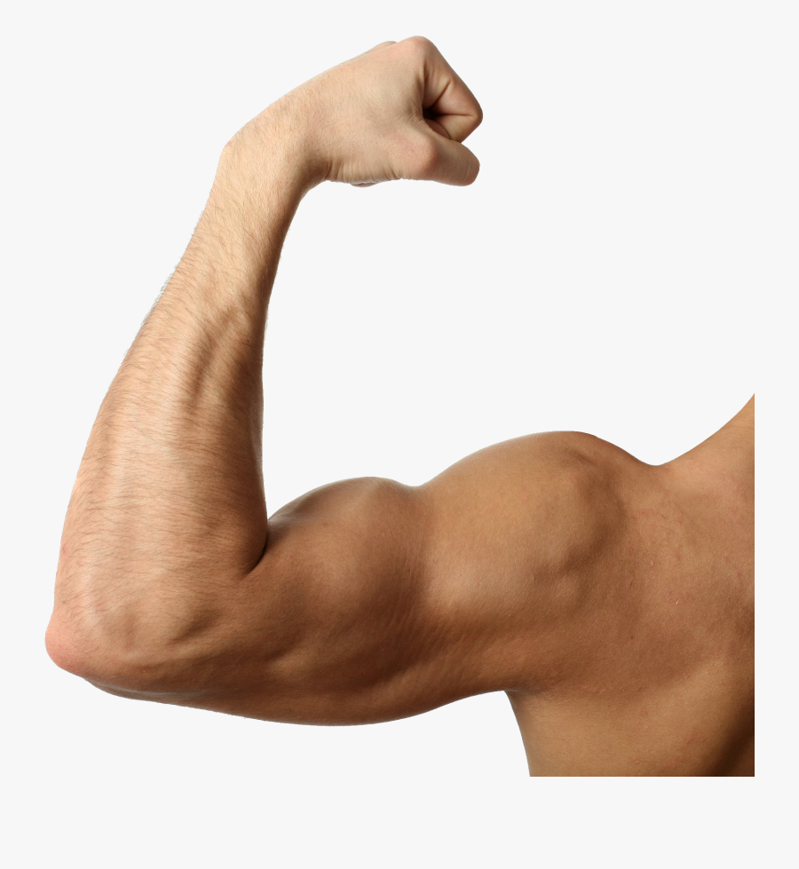 Transparent Muscle Man Clipart - Muscular Arm Transparent Background, Transparent Clipart