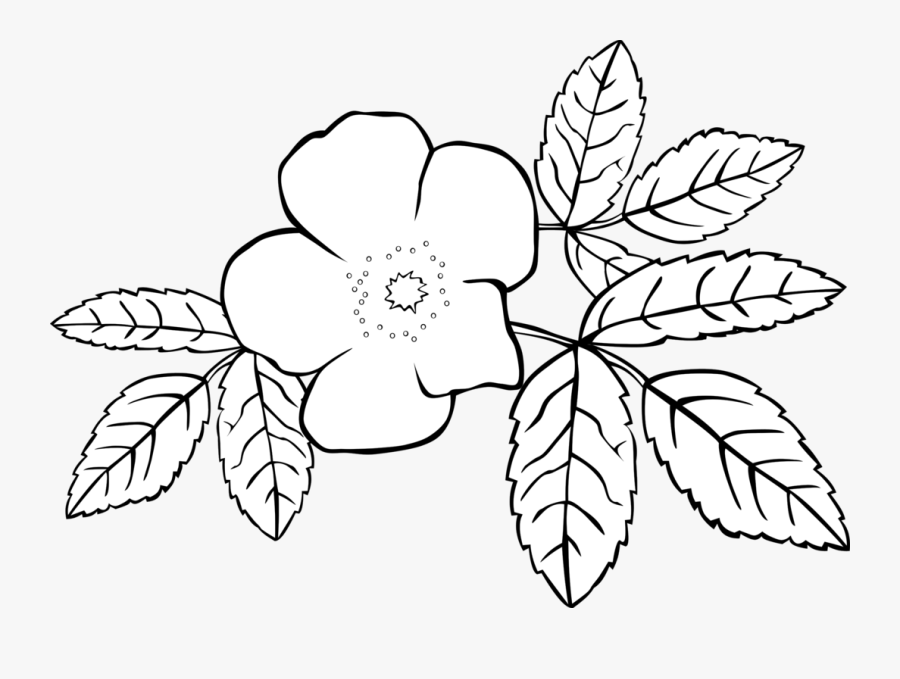 Download Rose Clipart Coloring - Jasmine Flowers Coloring Page ...