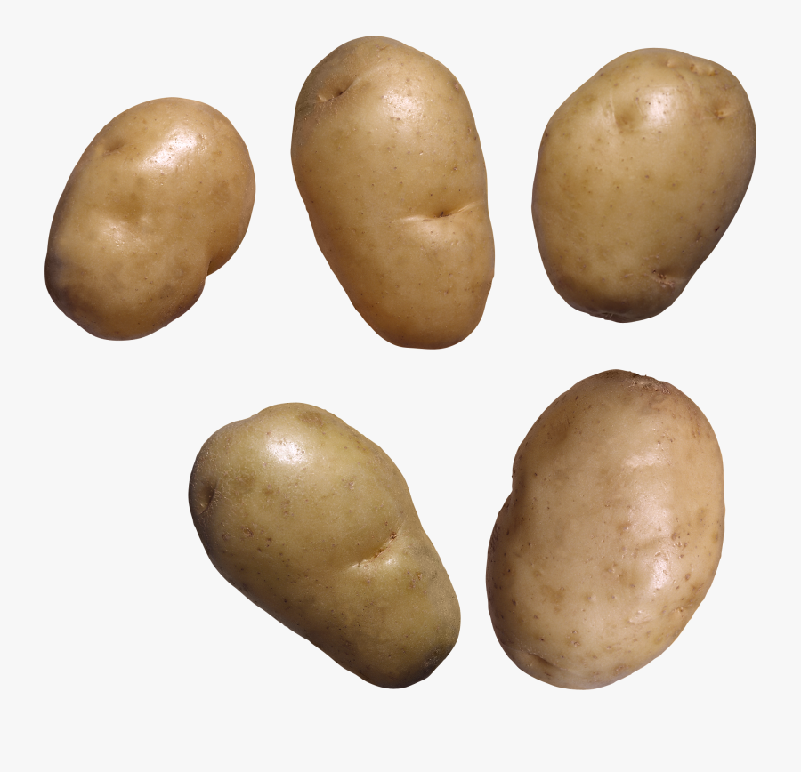 Potato Png Image - Clear Background Potato Transparent, Transparent Clipart