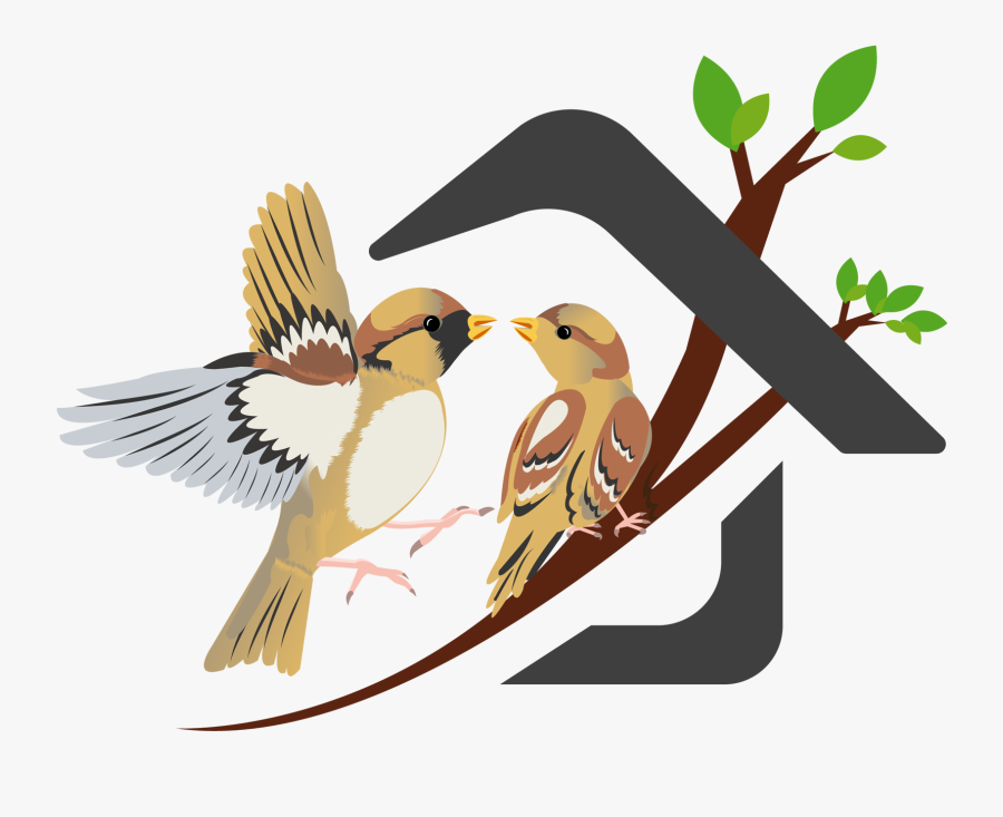 Nest Clipart Sparrow Nest - Sparrow Nest Png, Transparent Clipart