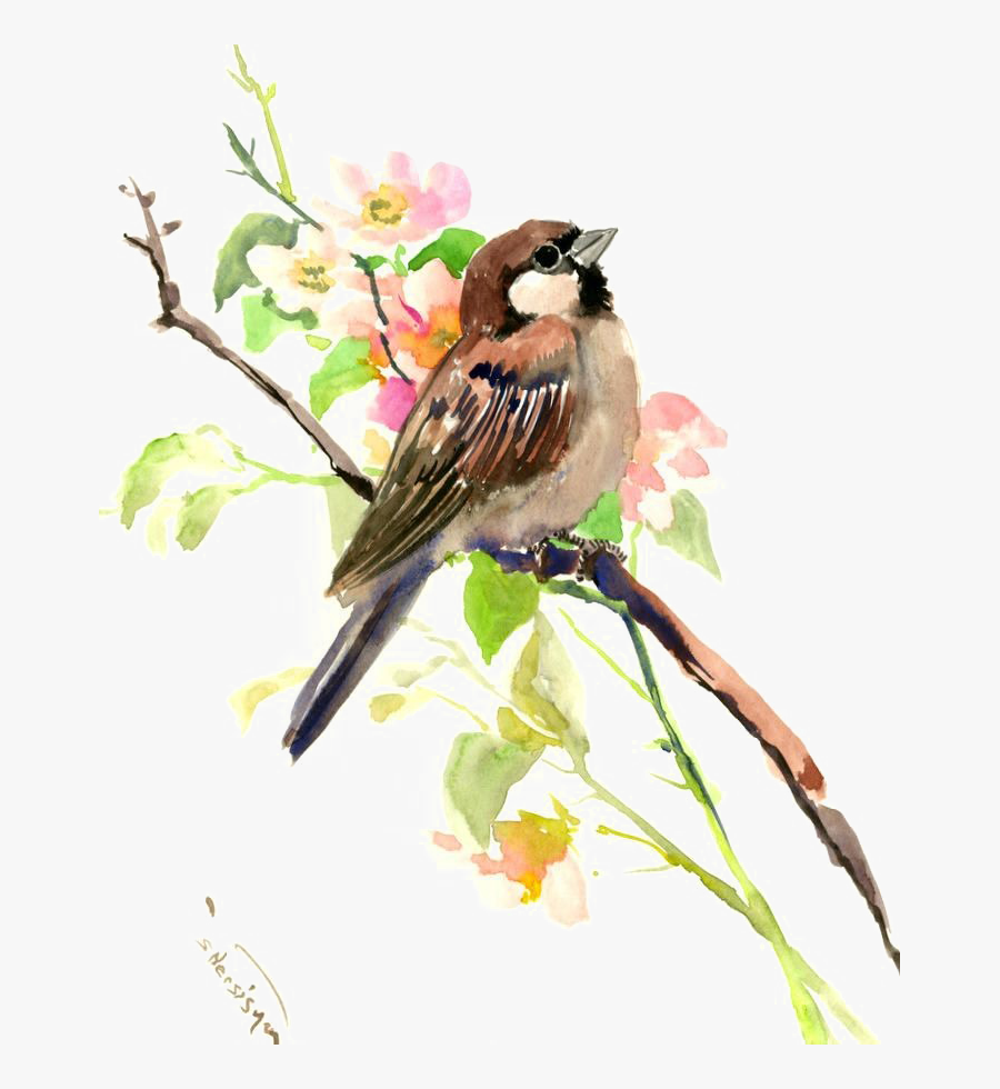 Sparrow Painting, Transparent Clipart