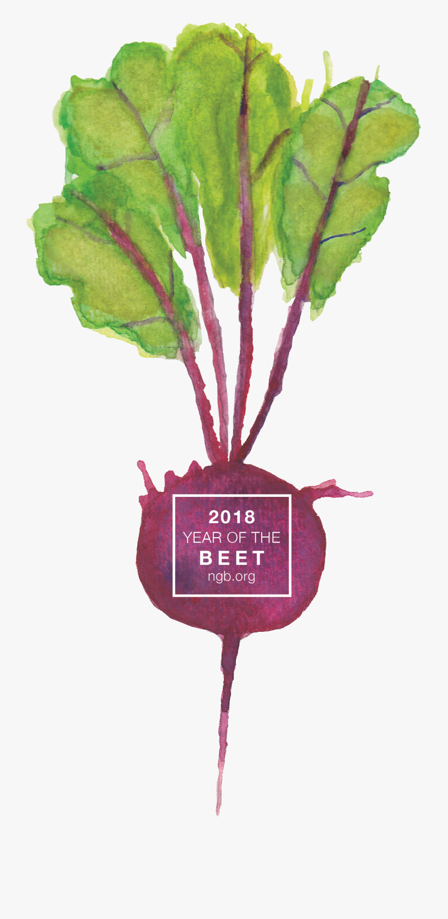 2018 Year Of The Beet - Chard, Transparent Clipart