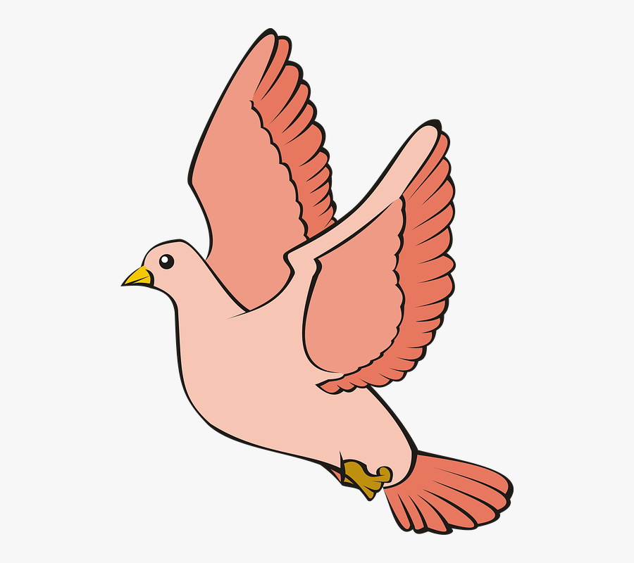 Transparent Pigeon Clipart - Desain Gambar Burung Merpati, Transparent Clipart