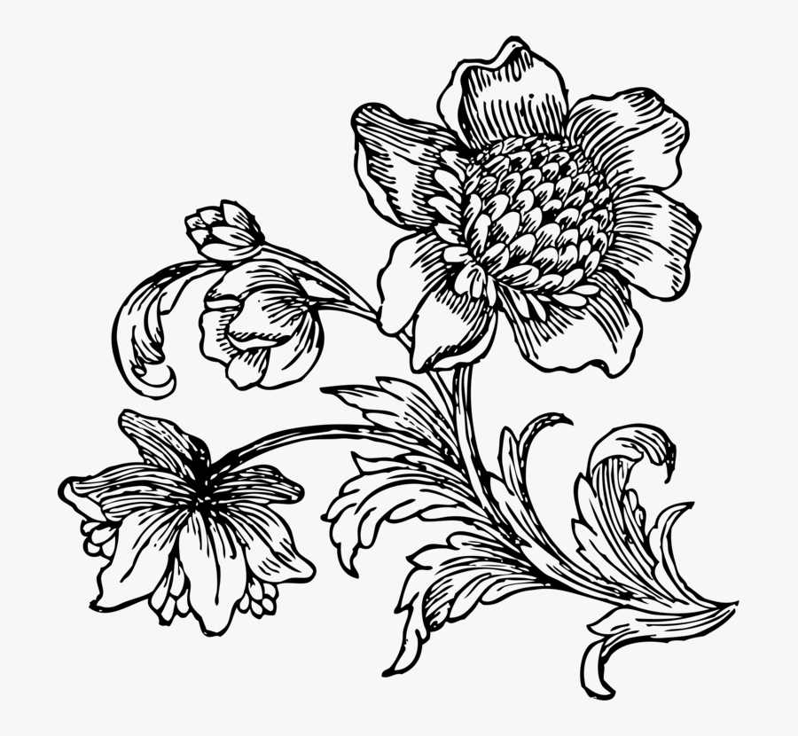 Transparent Favorites Clipart - Black And White Flower Drawing Png, Transparent Clipart