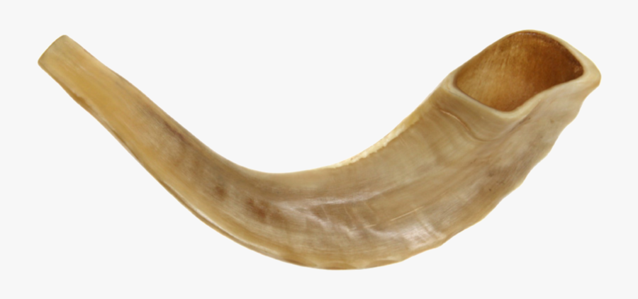 Png Transparent Images Pluspng - Rosh Hashanah Horn Transparent, Transparent Clipart