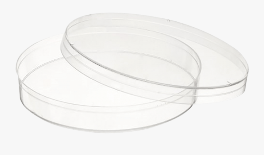 Transparent Petri Dish Png - Ceiling, Transparent Clipart