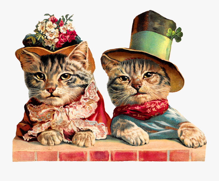 Cats Animal Image Humorous Victorian Image Clipart - Victorian St Patricks Day Cat, Transparent Clipart