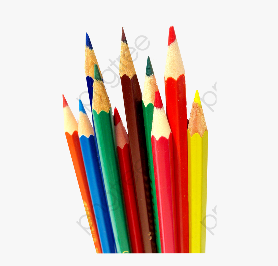 Pencil Clipart Colored Pencils - Pen Container, Transparent Clipart