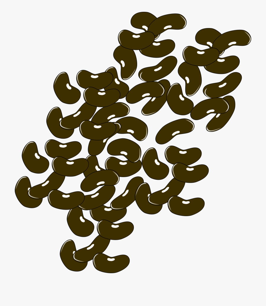 Tree,branch,organism - Beans Clipart Png, Transparent Clipart