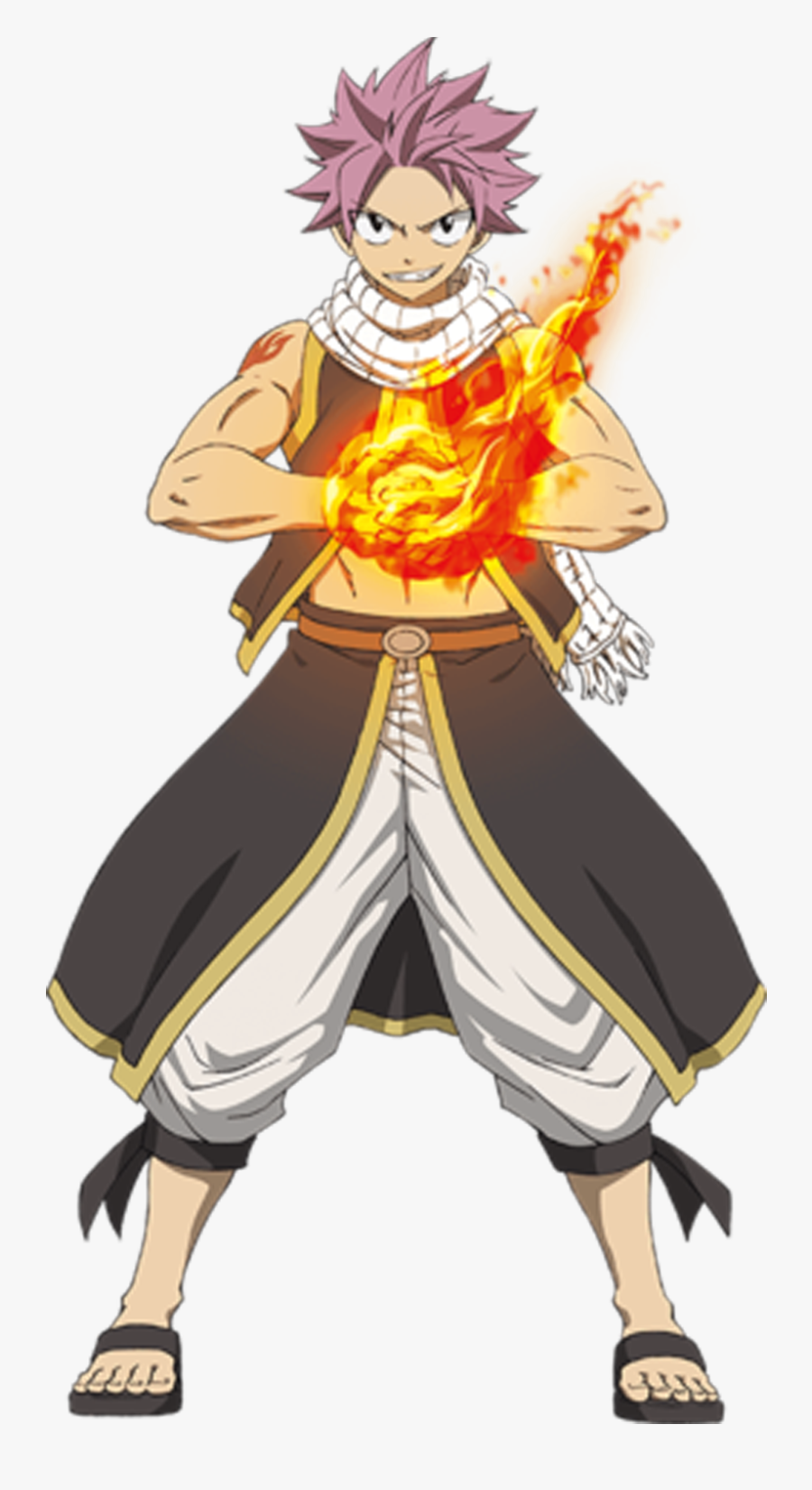 Transparent Salamander Clipart - Fairy Tail Natsu Png, Transparent Clipart